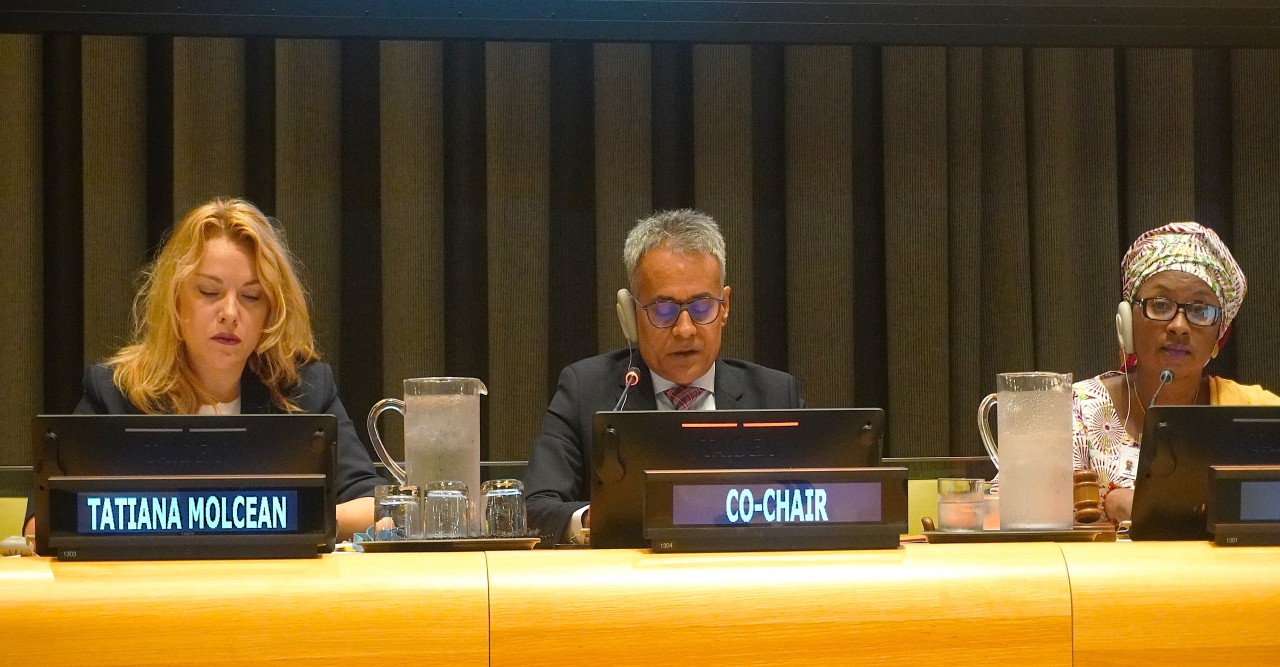 Bangladesh co-chairs multi-stakeholder panel session on Global Road Safety, calls for stronger institutions to save lives