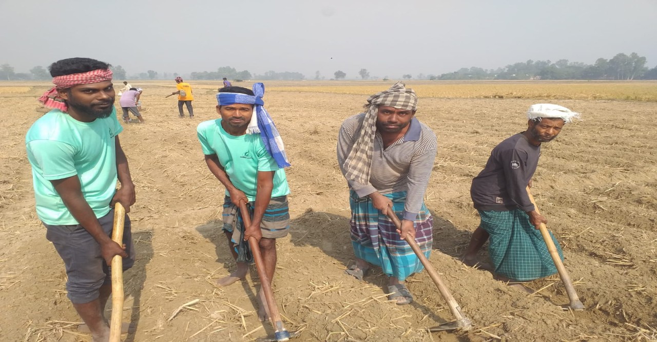 বগুড়ার আদমদিঘীতে এবার  ৯ হাজার হেক্টরের বেশি জমিতে রবিশস্য চাষে লক্ষমাত্রা নির্ধারণ