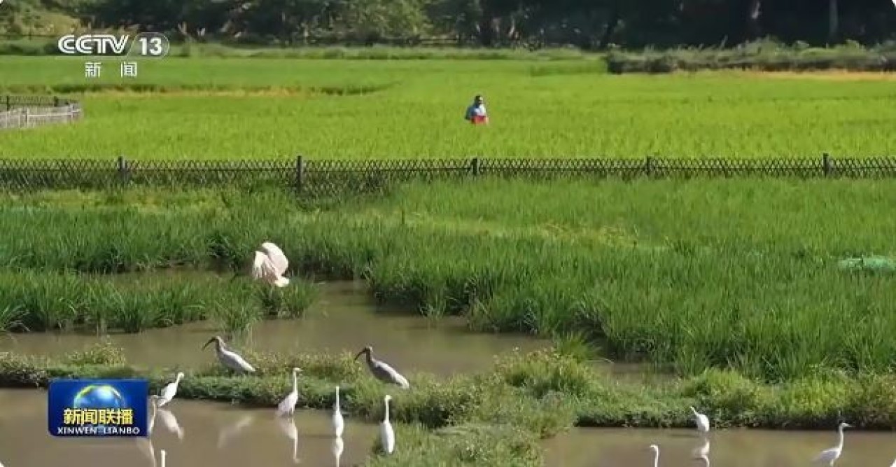 জলসম্পদ ও জীববৈচিত্র্য সুরক্ষায় চীনের অবদান
