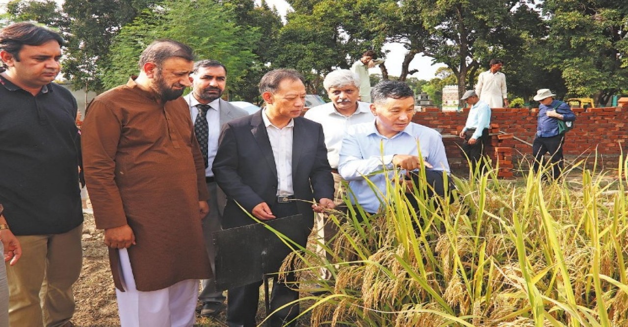 দক্ষিণ এশিয়ায় খাদ্য নিরাপত্তায় নতুন সম্ভাবনার দ্বার