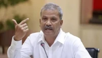 বিসিবিকে স্যালুট জানালেন আসিফ নজরুল