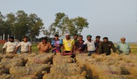 মালয়েশিয়ায় সহ সংযুক্ত আরব আমিরাত যাচ্ছে  বগুড়ার আদমদিঘী উপজেলার, ছাতিয়ানগ্রাম ইউনিয়নের  নিমাইদিঘী গ্রামের আলু