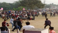 শ্রীপঞ্চমী গরুর দৌড়, দড়ি ছেঁড়া ও লড়াই ও মেলা