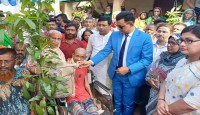 বগুড়া জেলা প্রশাসক সদর  উপজেলার বিভিন্ন উন্নয়ন পরিদর্শন