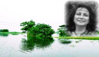 বন্যার ছবি  - জাকিয়া রহমানের বিশেষ কবিতা