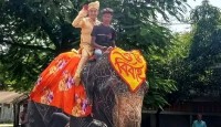 হাতির পিঠে চড়ে বিয়ে করতে এলেন বর