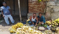 প্রচন্ড তাপদাহে আদমদীঘির ছাতিয়ানগ্রামে তাল শাঁসের কদর বেড়েছে