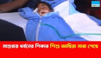 আছিয়া তুই আজ মুক্ত  - জাকিয়া রহমান
