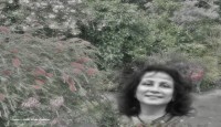 জানালার বাইরে    ---জাকিয়া রহমান